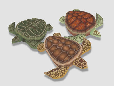 Turtles